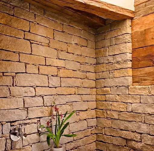 Schwalbennest Horská chata *